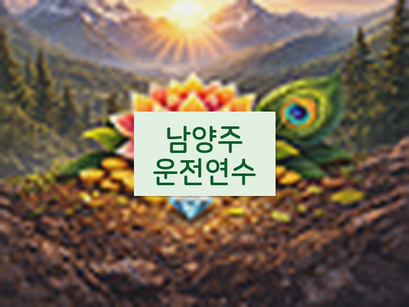 남양주운전연수 후기