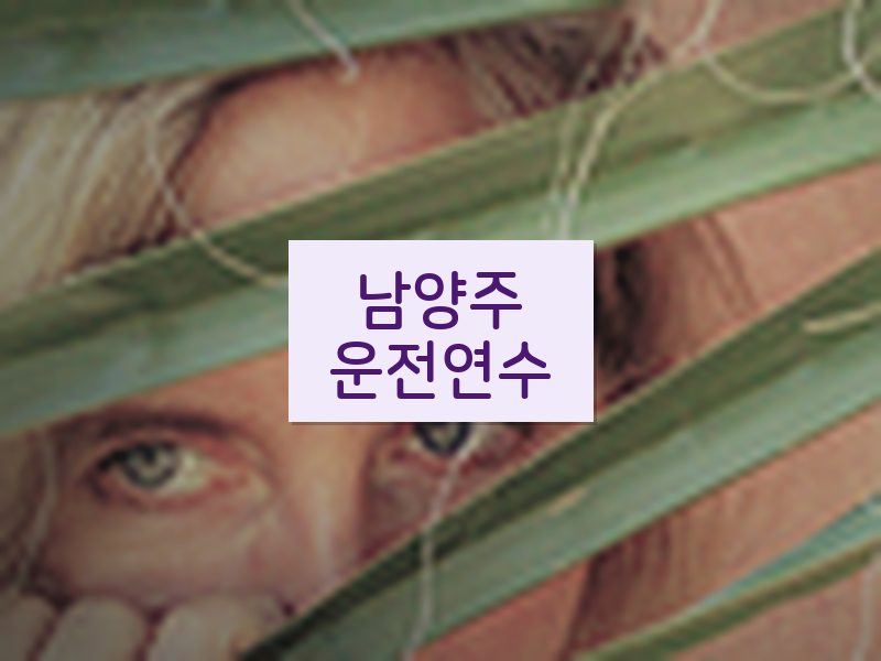 남양주운전연수 후기