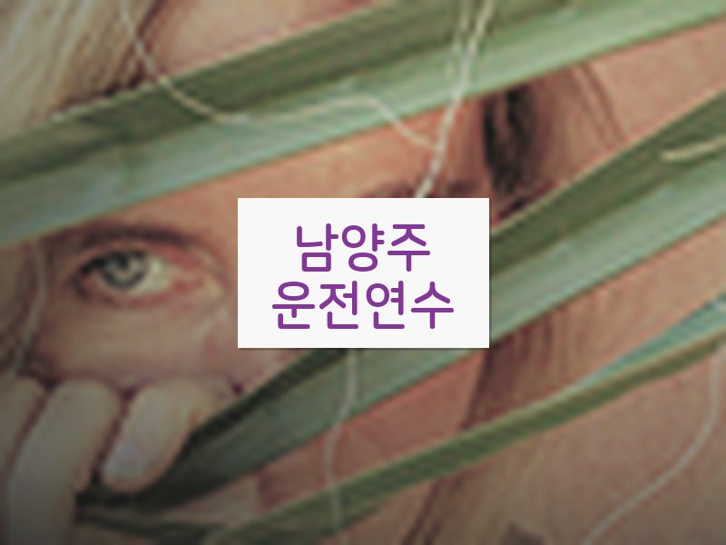 남양주운전연수 후기