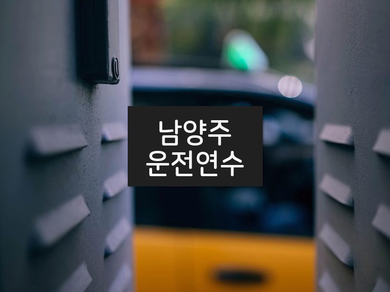 남양주운전연수 후기