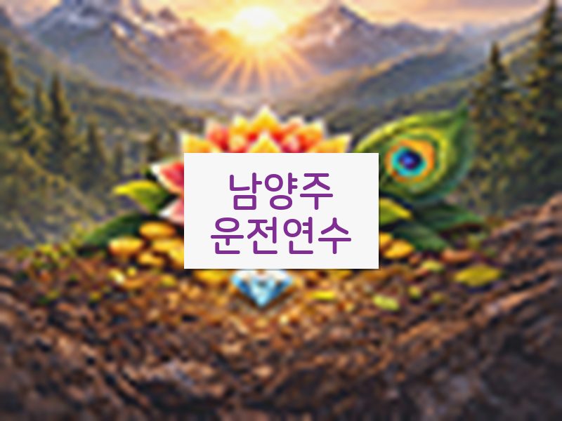 남양주운전연수 후기