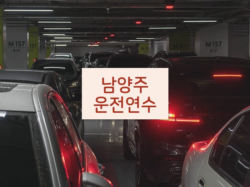 남양주운전연수 후기