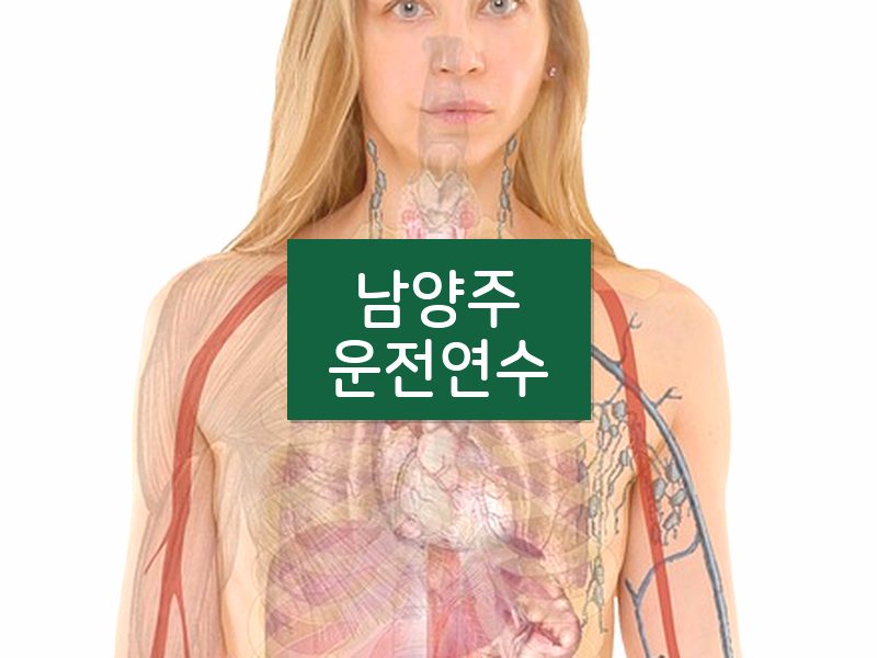 남양주운전연수 후기