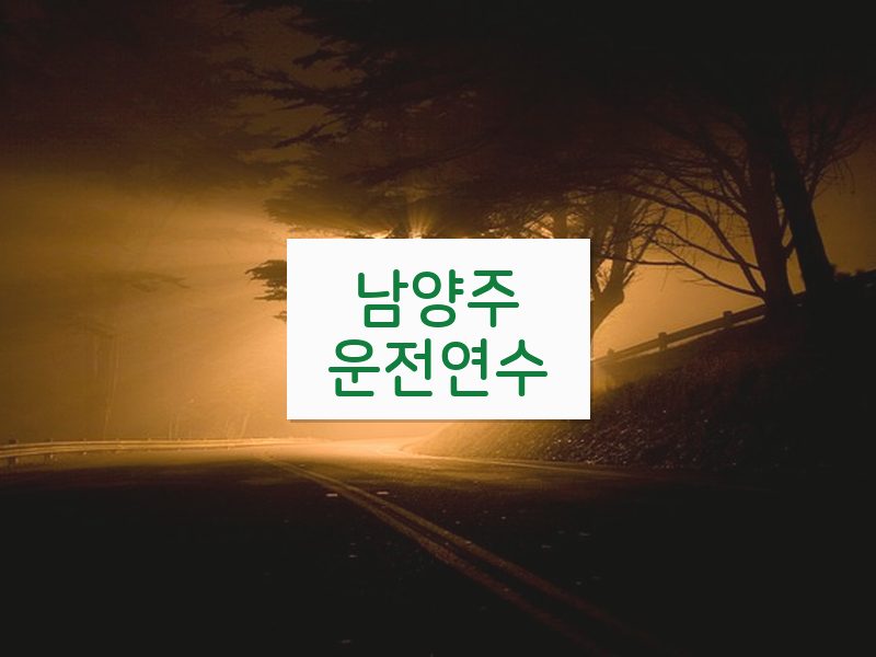 남양주운전연수 후기