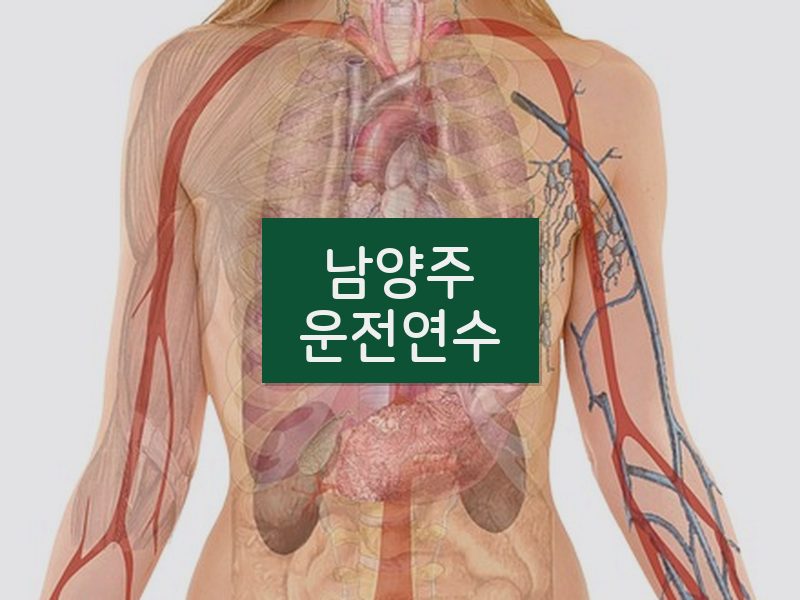 남양주운전연수 후기