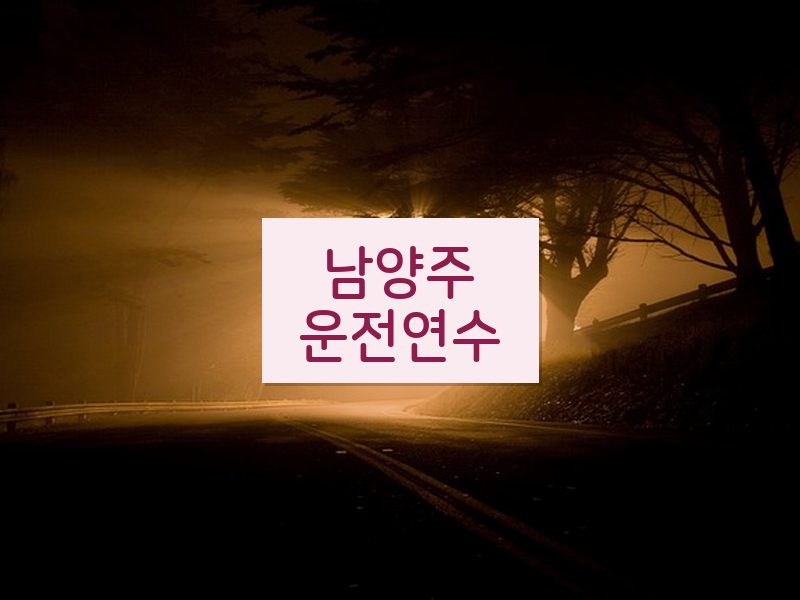 남양주운전연수 후기
