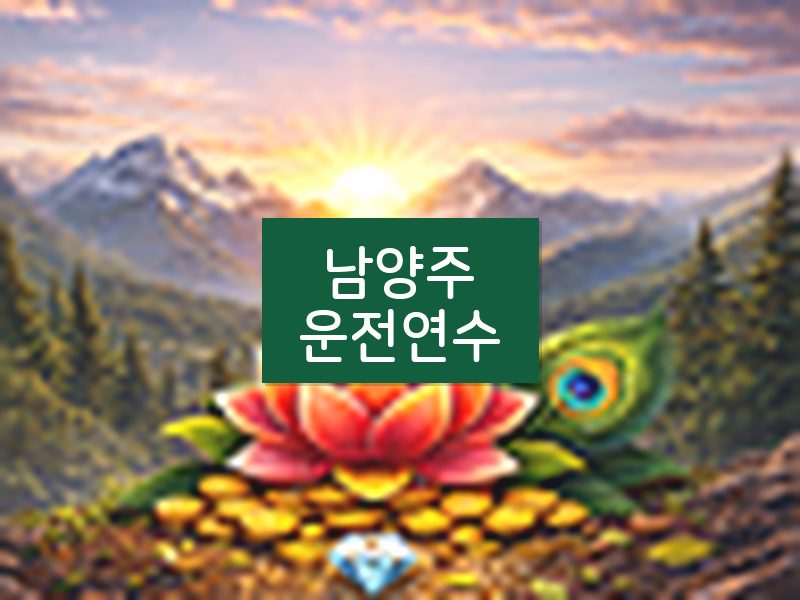 남양주운전연수 후기
