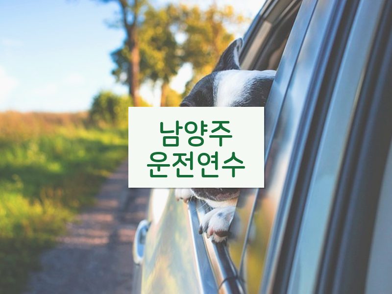 남양주운전연수 후기