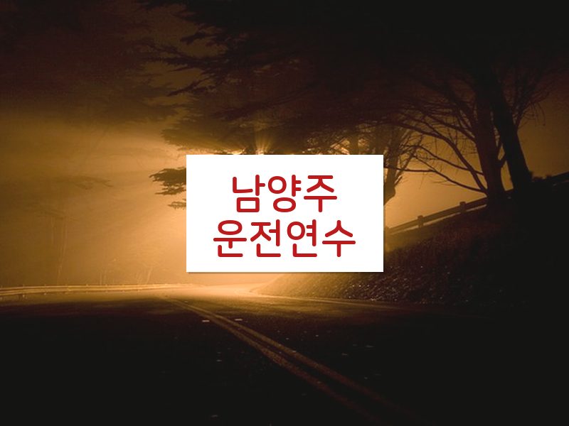 남양주운전연수 후기