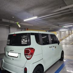 장롱면허 7년 만에 탈출한 남양주 운전연수 후기