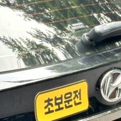 초보운전연수 4일 코스 가격 솔직 후기