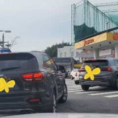 장롱면허 7년 만에 탈출한 남양주 자차운전연수 후기