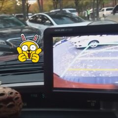 [남양주] 자차운전연수 4일 만에 운전 자신감 획득 후기
