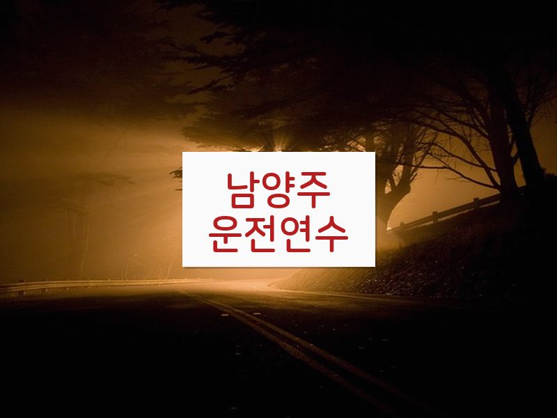 남양주운전연수 후기